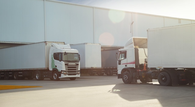 Dos camiones de carga en la zona de mantenimiento de flota vehicular